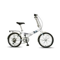 Folding Bike - Adult